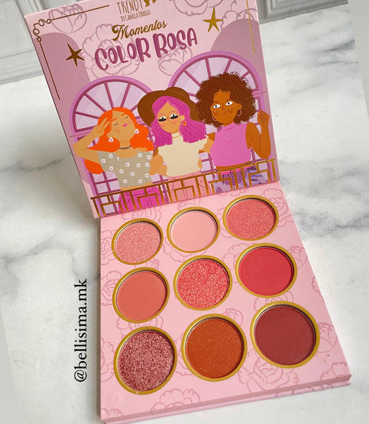 Paleta de sombra color rosa trendy